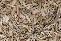 biomass boilers Scleddau
